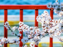 -颐和园