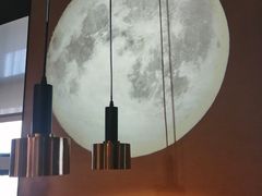 -老板恋上鱼(印象城店)