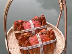 -欢乐蟹庄·精品农家乐(阳澄湖莲花岛店)