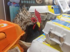 -盒马鲜生(富田新天地店)