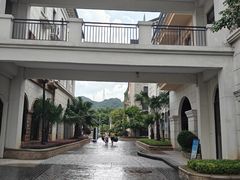 -美的鹭湖森林度假区