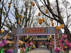 -江心屿景区