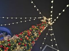 -Mr.Fruits水果先生(蓝色港湾店)