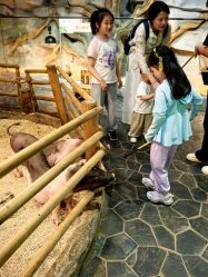 -Zoolung Zoolung动物主题公园(海信广场店)