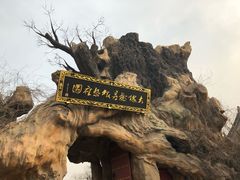 -大槐树寻根祭祖园