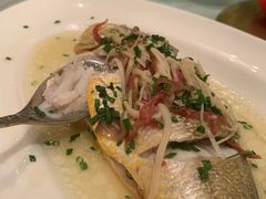 -老洋房花园饭店(绍兴路店)