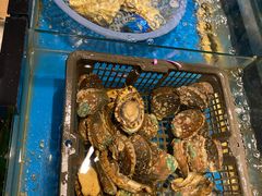 -争鲜·鲍鱼鸡煲(美邻中心店)