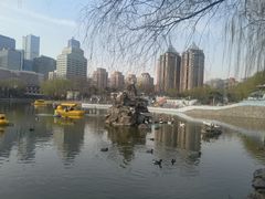 -团结湖公园