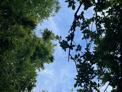 -恭王府博物馆