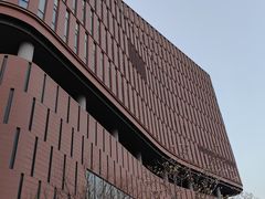 -中国宋庆龄青少年科技文化交流中心