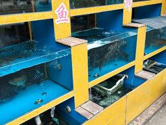 水产区-淳安二十八道·美食汇·淳鱼馆(阳光路店)