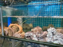 -范饭椰林川湘味海鲜·椰子鸡(三亚湾椰梦长廊店)