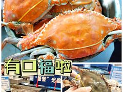 -盒马X会员店(王府井奥莱UP TOWN店)