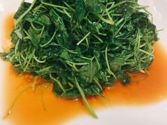 -江仙雅居(苏州桥店)