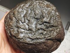 -奈雪的茶(红谷滩万达广场店)