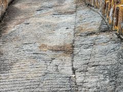 -白水寺森林公园