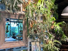 -自由生长植物工作室(深港花卉中心店)