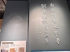 -柳州白莲洞洞穴科学博物馆