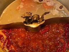 -小龙翻大江文化火锅(宽窄店)