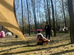 -合肥滨湖国家森林公园