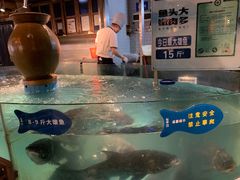 -坛宗剁椒鱼头(河西王府井店)