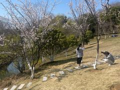 -羊山湖公园