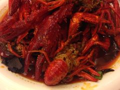 -老梅园大虾城(八一桥店)