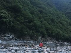 -黑河国家森林公园