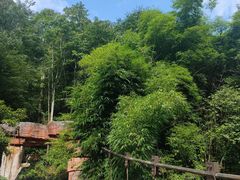 -赤水丹霞旅游区·大瀑布