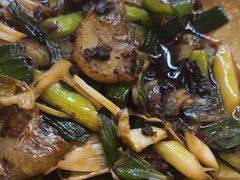 -张鲫鱼家常菜