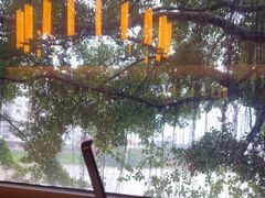 -阿伟海鲜楼·福建菜(涵江店)