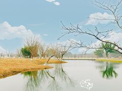 -良渚古城遗址公园