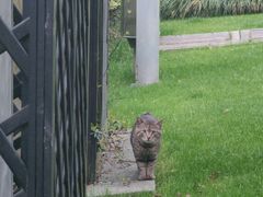 -荷风细雨·中国茶宴(碧云店)