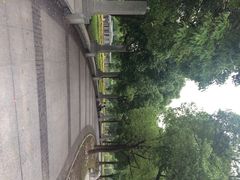 iphone_upload_pic-同济大学(嘉定校区)