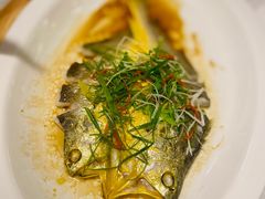 -金汤宴餐厅·粤菜(德云社店)