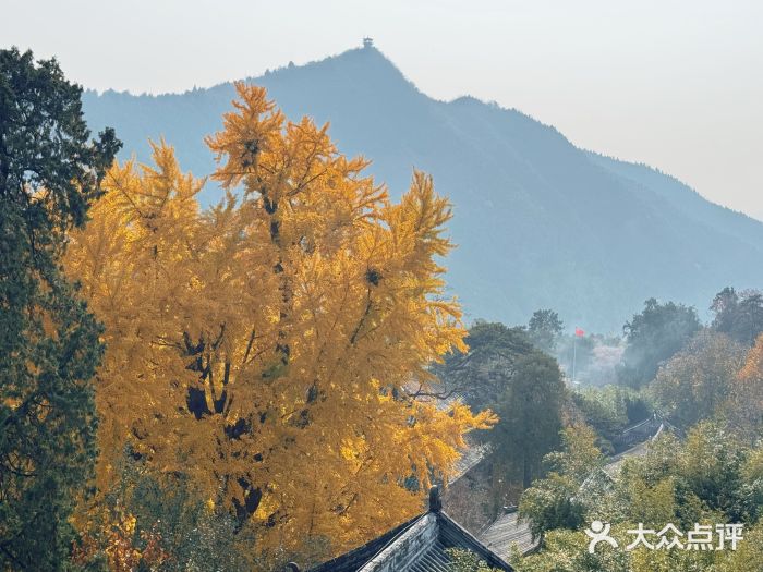 潭柘寺景区图片