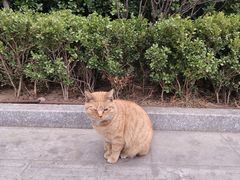 -龍歌自助小火锅(城阳万象汇店)