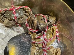 -丽都皇冠假日酒店·Matrix亦餐厅(望京店)