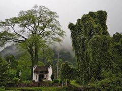 -莫干山风景区