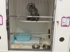 -虹泰宠物医院 ·旗舰店·24h(南秀路店)