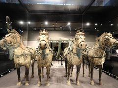 -秦始皇帝陵博物院-丽山园