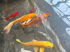 -天津海河悦榕庄·Lobby Lounge大堂吧