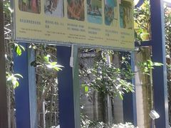 -上海玛雅海滩水公园