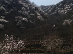-龙泉峪长城