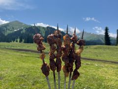-新疆那拉提国家旅游度假区