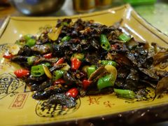 -邛海风味特色菜馆