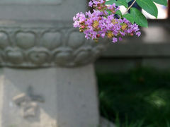 -寒山寺