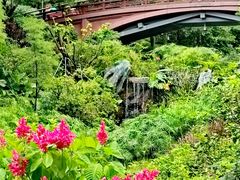 -云溪植物园