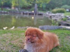 -北京宽沟会议中心