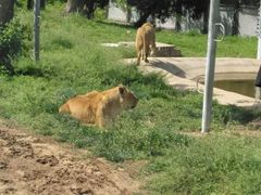 -西安秦岭野生动物园